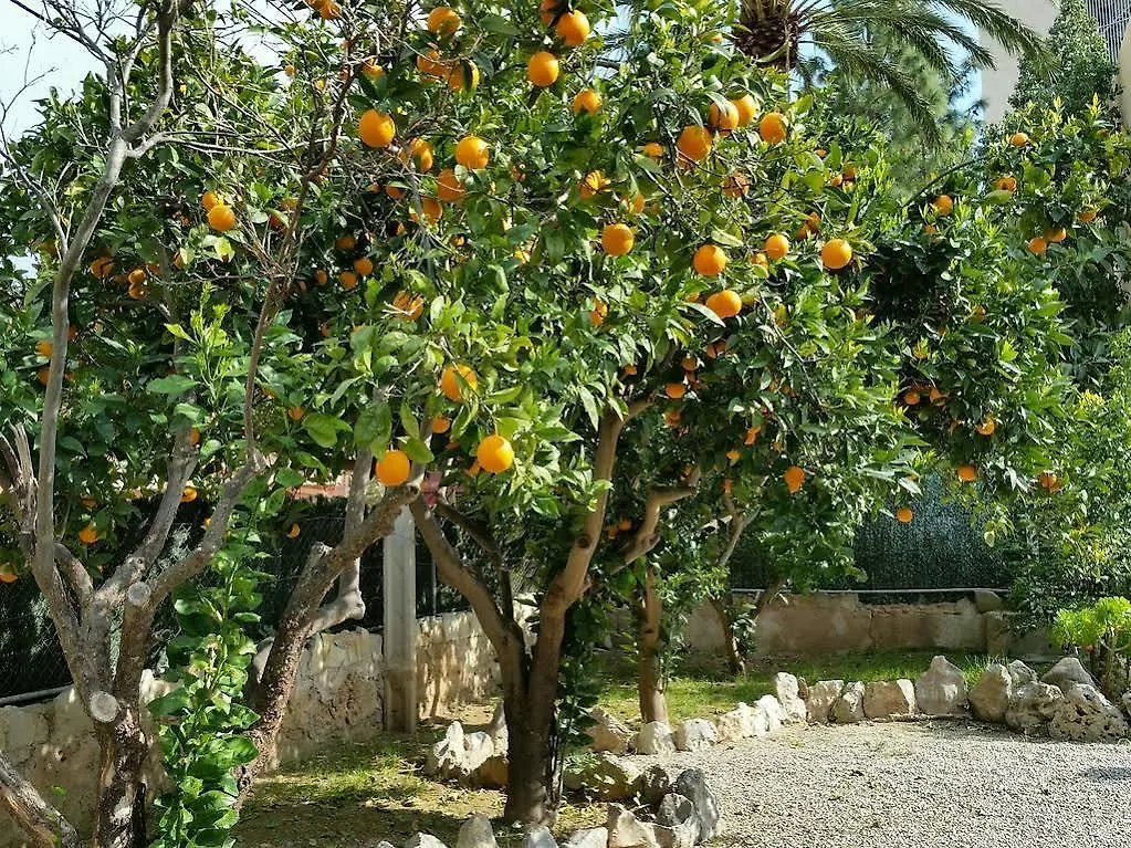 Ξενοδοχείο Hostal Amistad Παγκουέρα